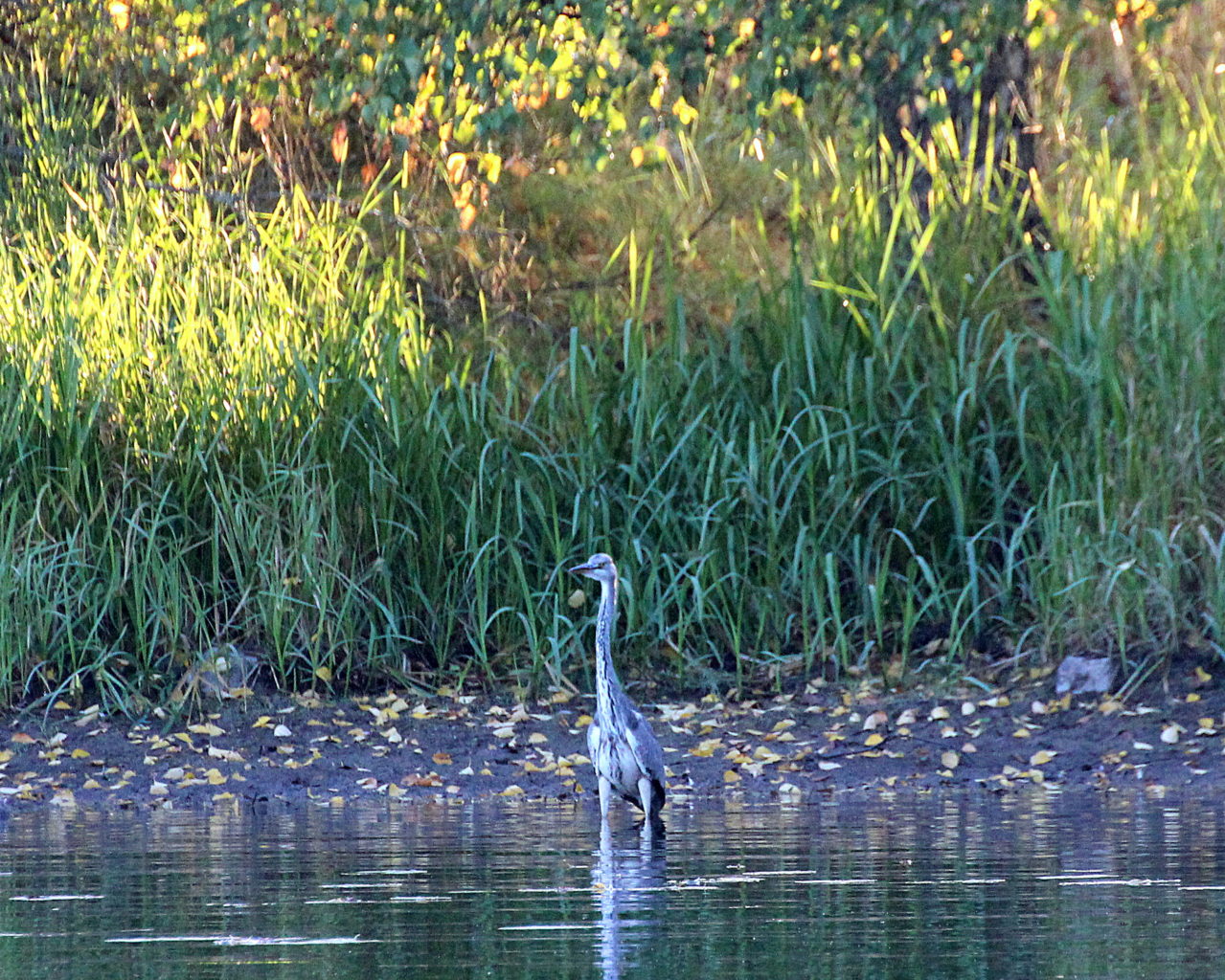 Valokuvaaja: Irja lehtinen