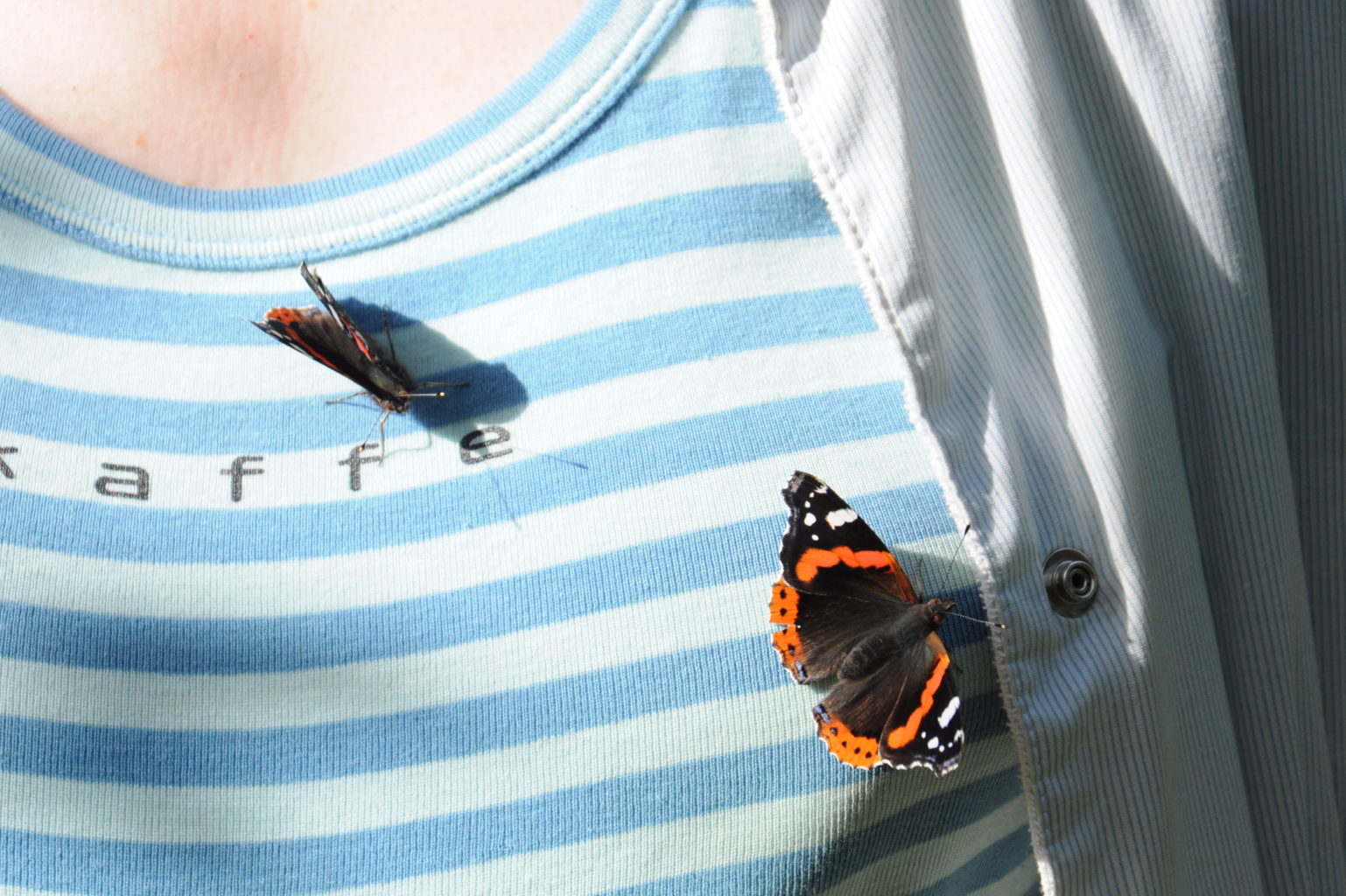 Valokuvaaja: Ella Laakso