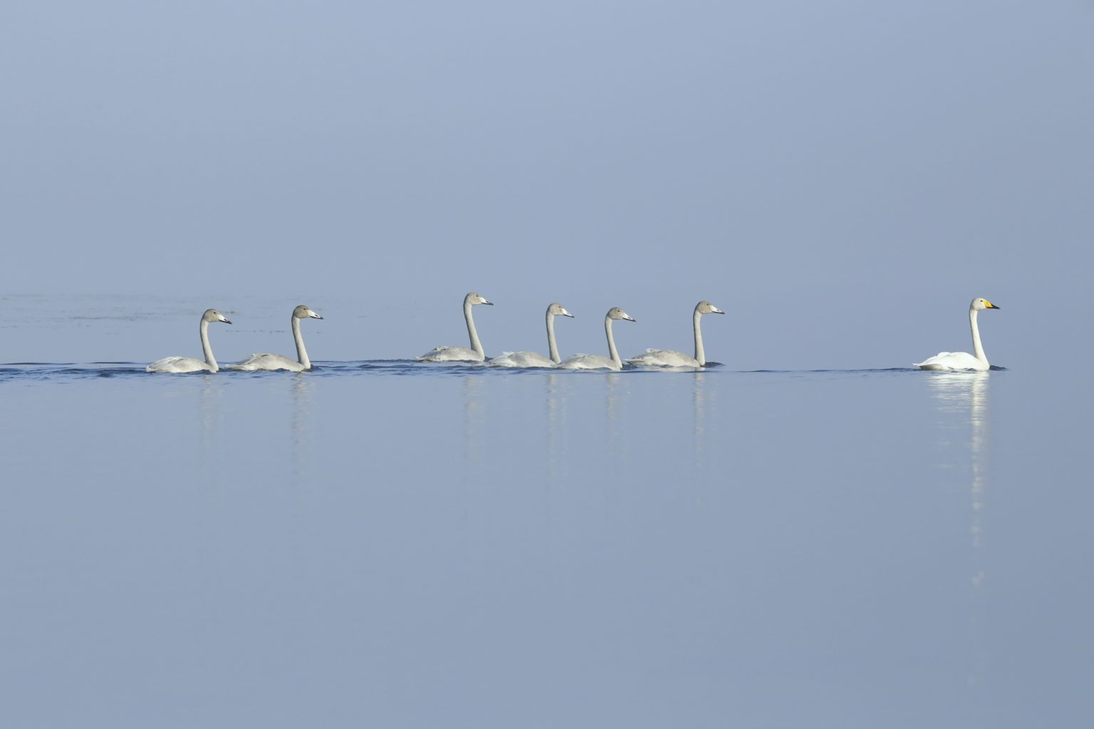 Valokuvaaja: Anne Moilanen Valokuvaaja: Anne Moilanen