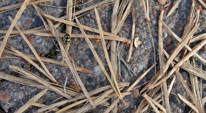 Valokuvaaja: Antti Alasjärvi