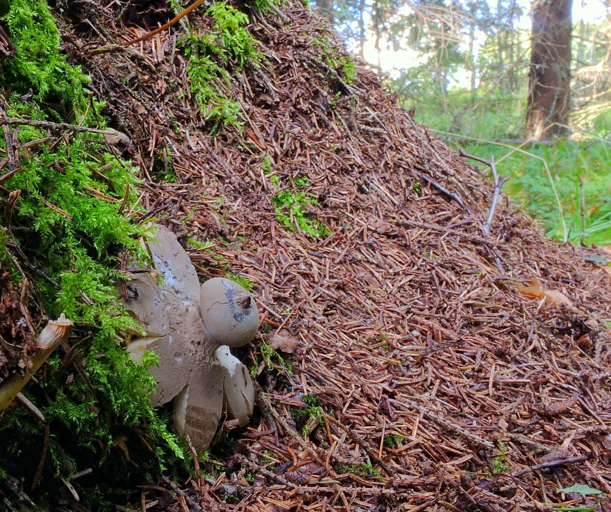 Valokuvaaja: Hannu Rasiranta