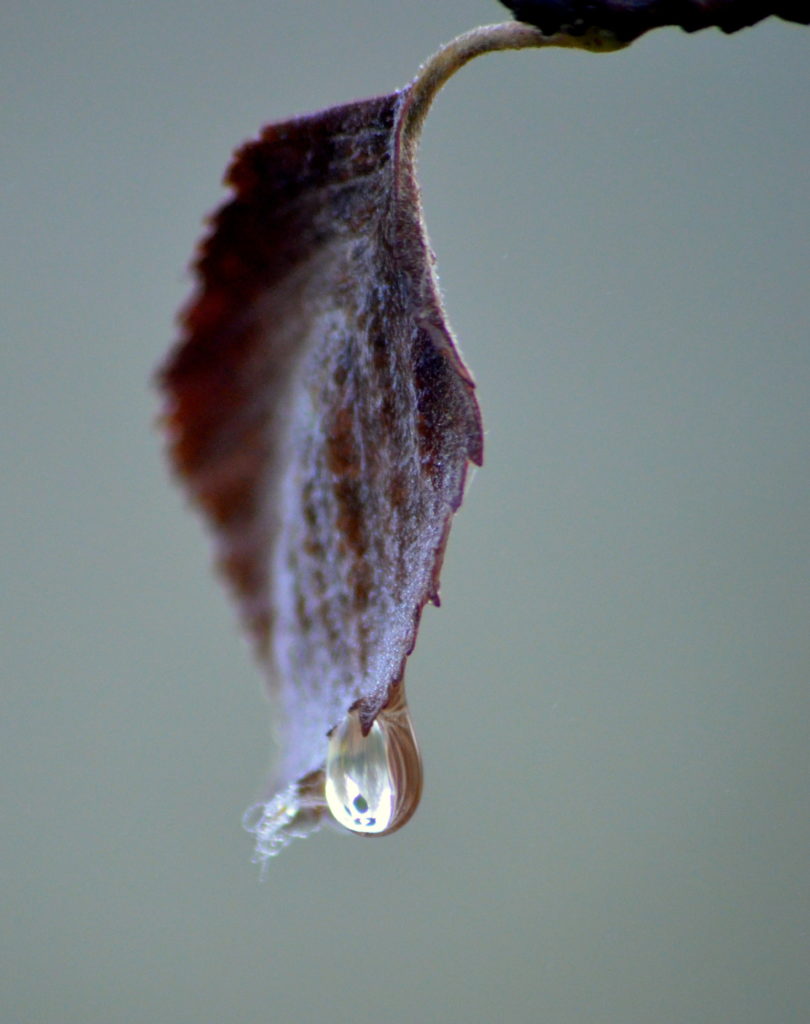 Valokuvaaja: Eija Varjola