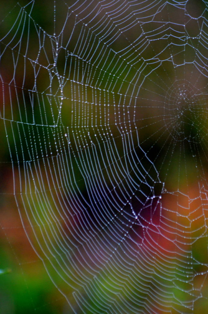 Valokuvaaja: Eija Varjola