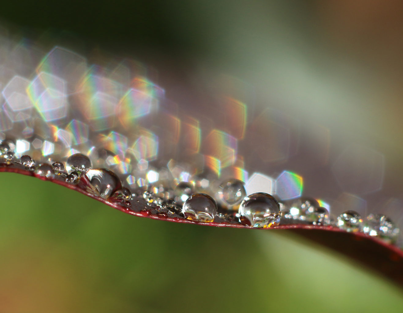 Valokuvaaja: Tarja Porkkala