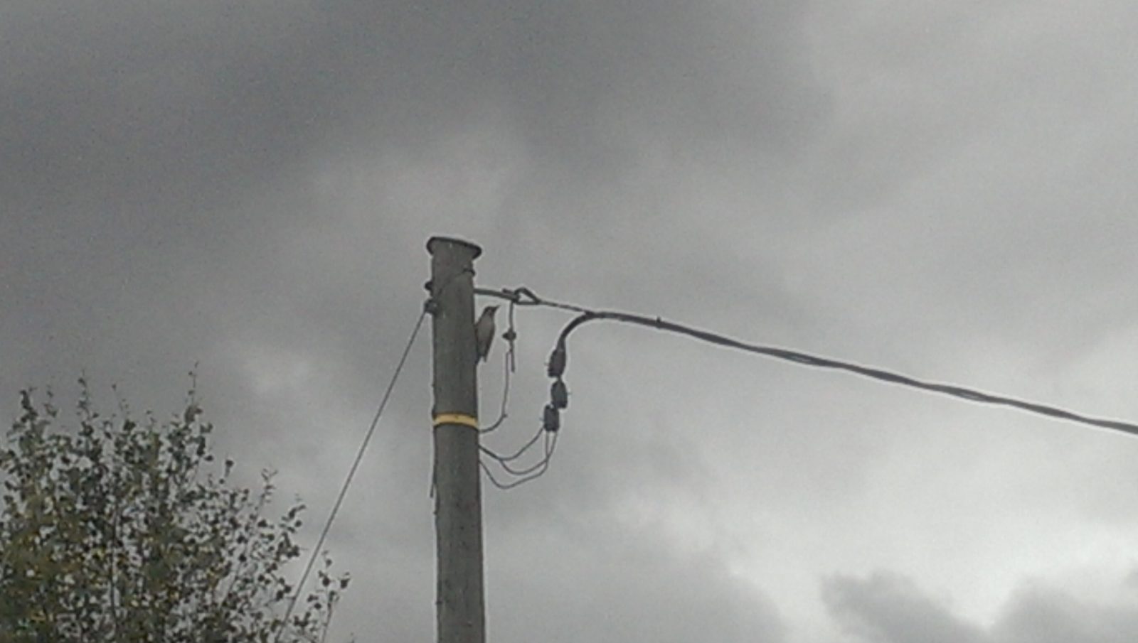 Valokuvaaja: Anni Uotinen