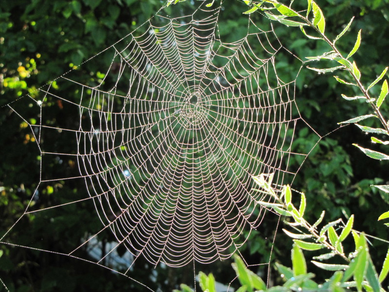 Valokuvaaja: Liisa Johansson