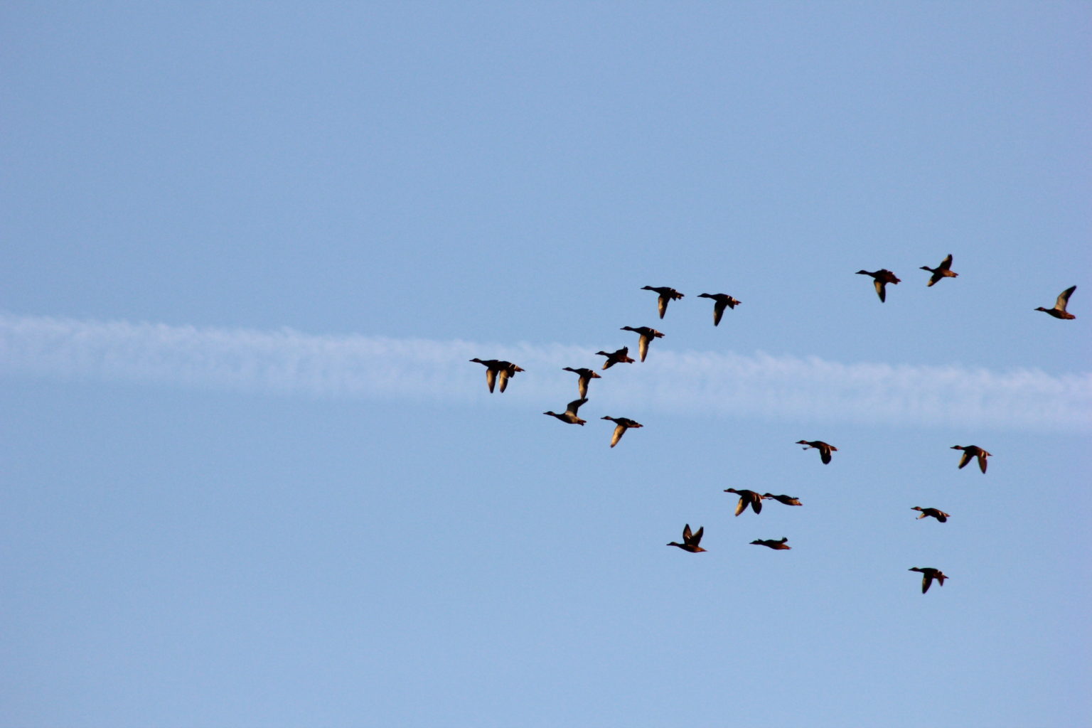 Valokuvaaja: Elias Pölkki