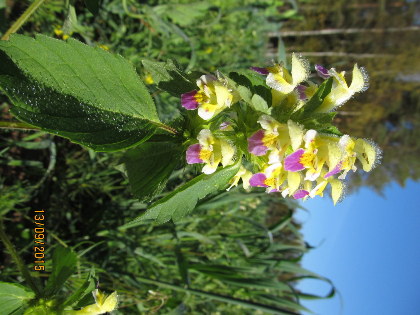 Valokuvaaja: Tuula Makkonen