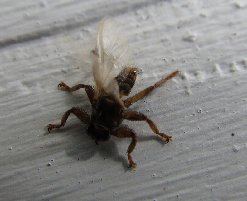 Valokuvaaja: Tuula Makkonen