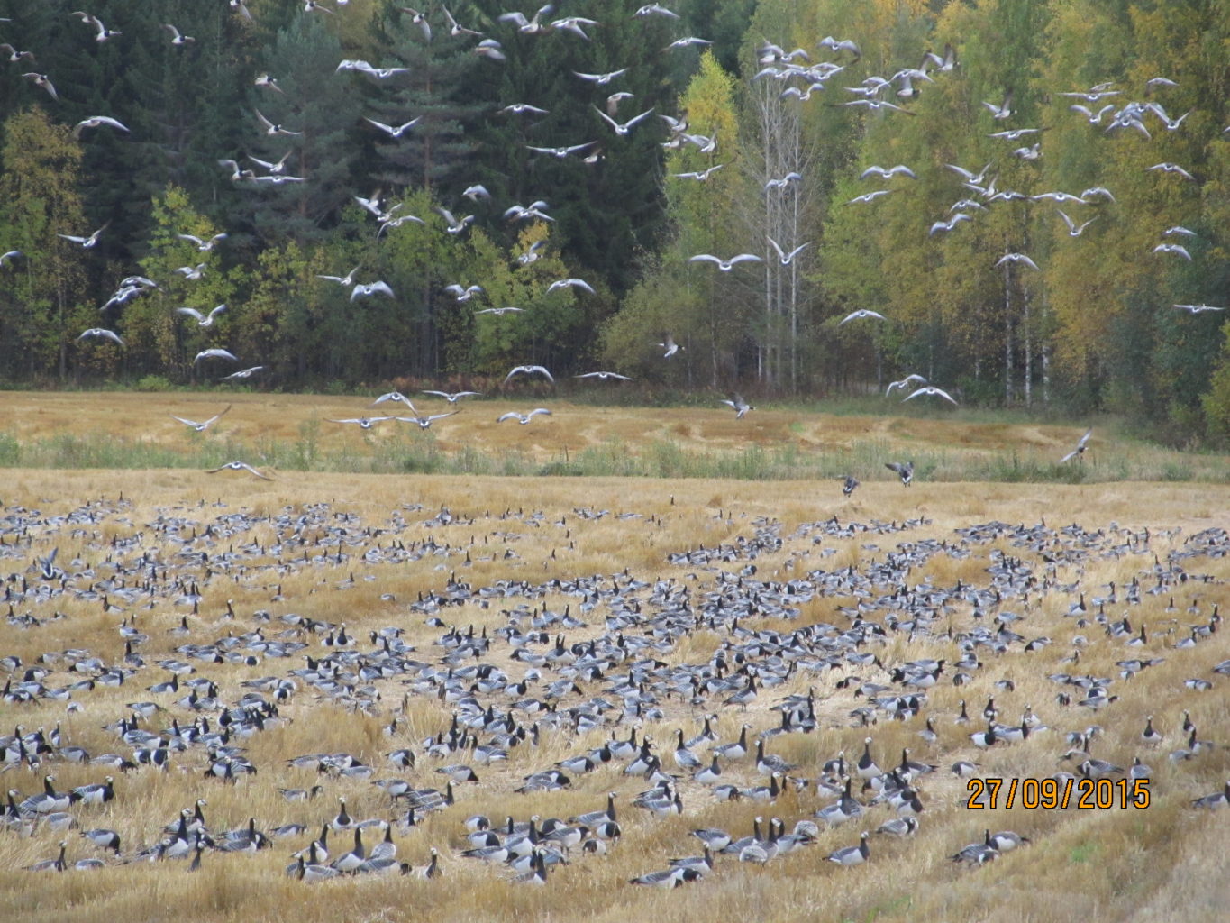 Valokuvaaja: Tuula Makkonen