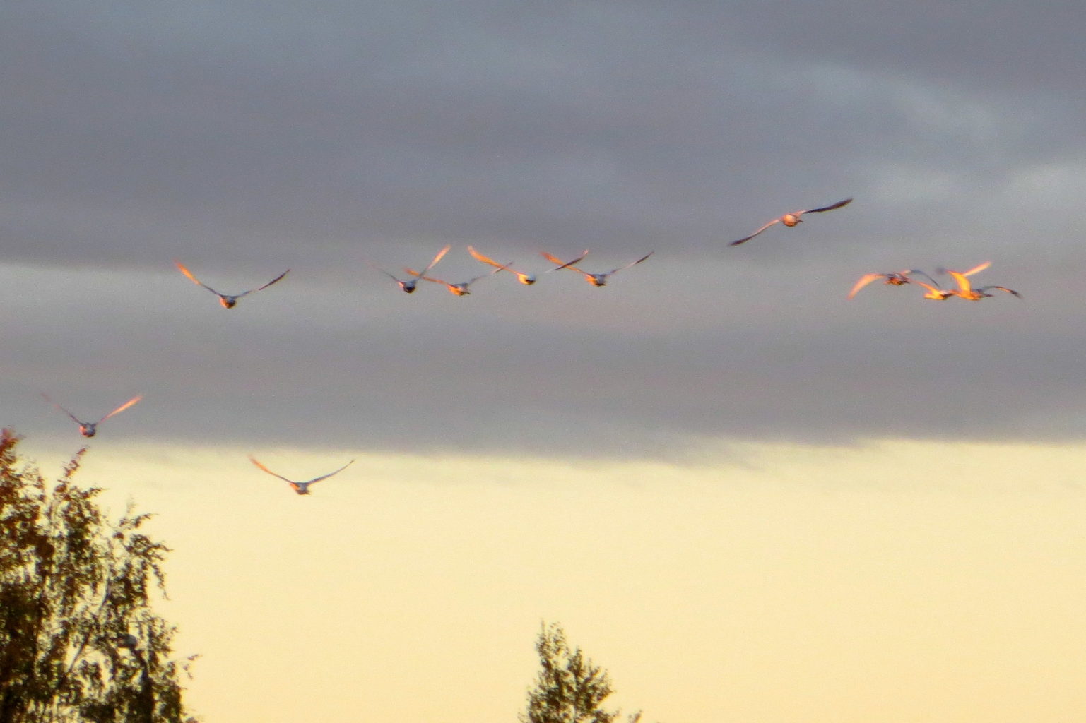 Valokuvaaja: Sirkka Ruotoistenmäki