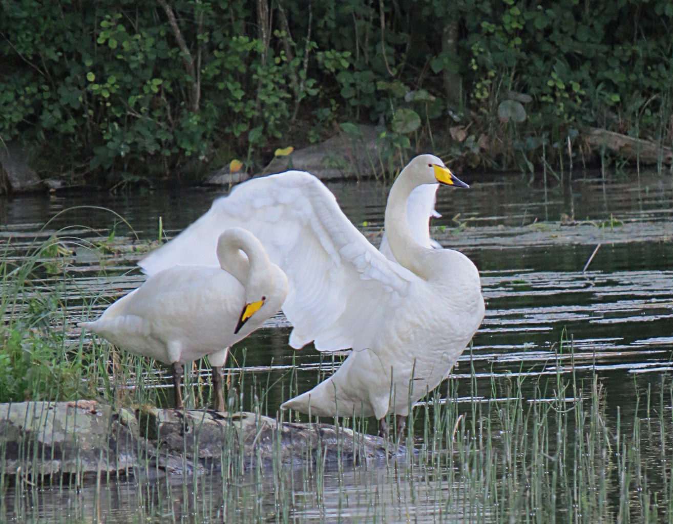 Valokuvaaja: Jaana Talvinen
