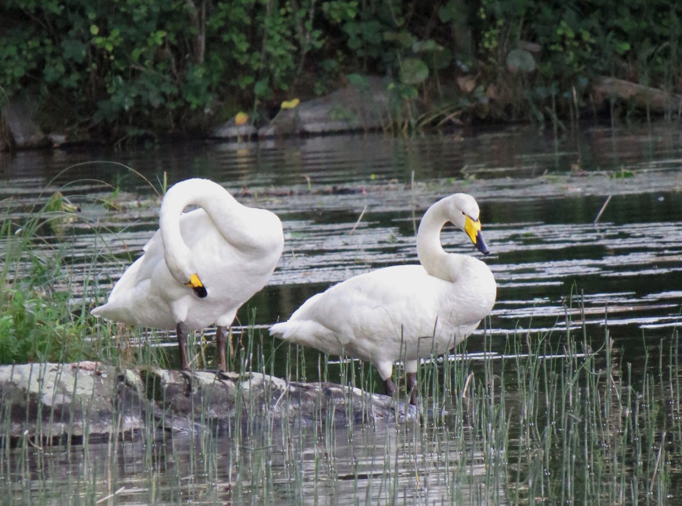 Valokuvaaja: Jaana Talvinen