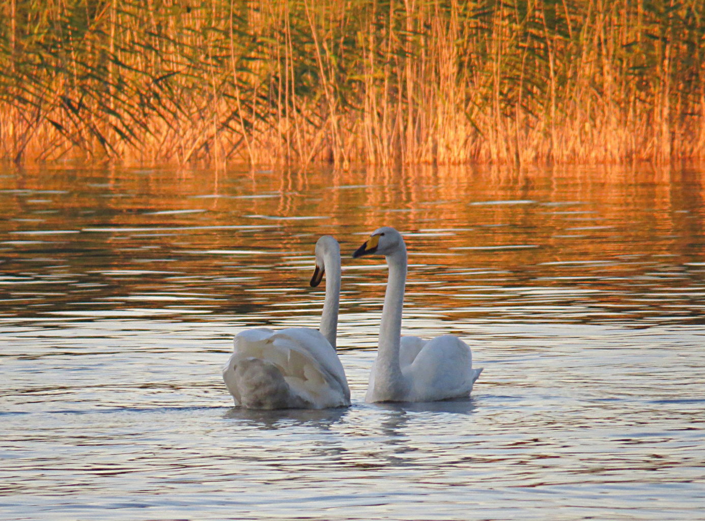 Valokuvaaja: Jaana Talvinen Valokuvaaja: Jaana Talvinen