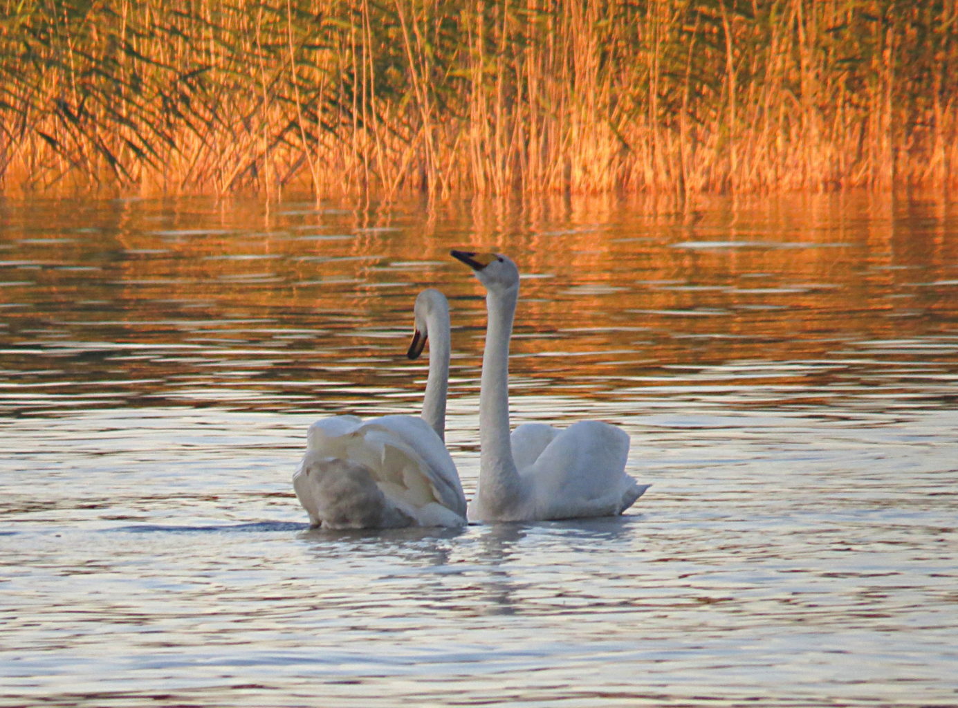 Valokuvaaja: Jaana Talvinen
