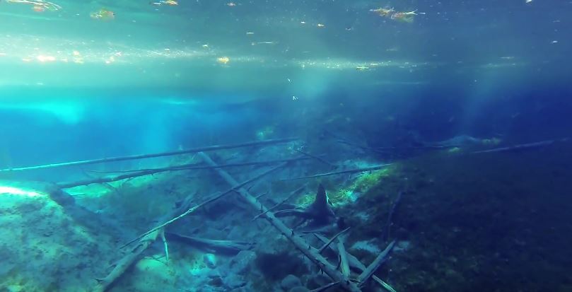 Valokuvaaja: Jasmin khalef