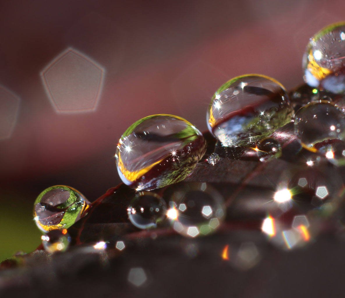 Valokuvaaja: Tarja Porkkala