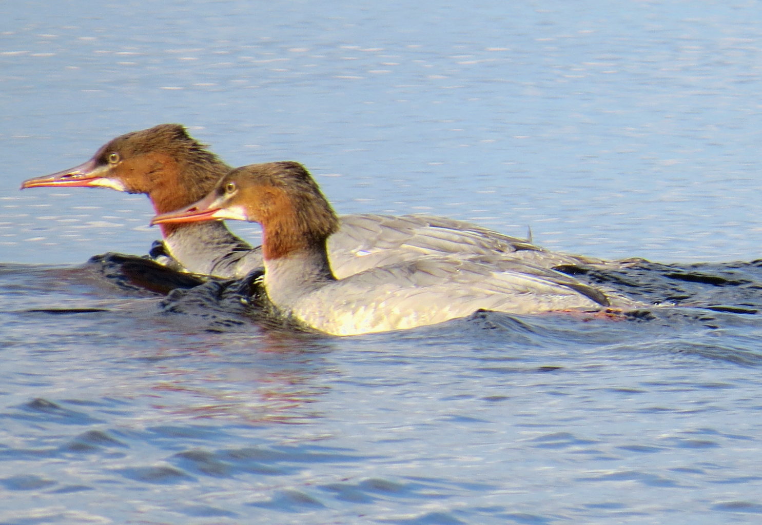 Valokuvaaja: Jaana Talvinen Valokuvaaja: Jaana Talvinen