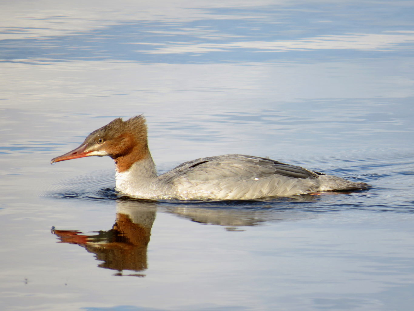 Valokuvaaja: Jaana Talvinen