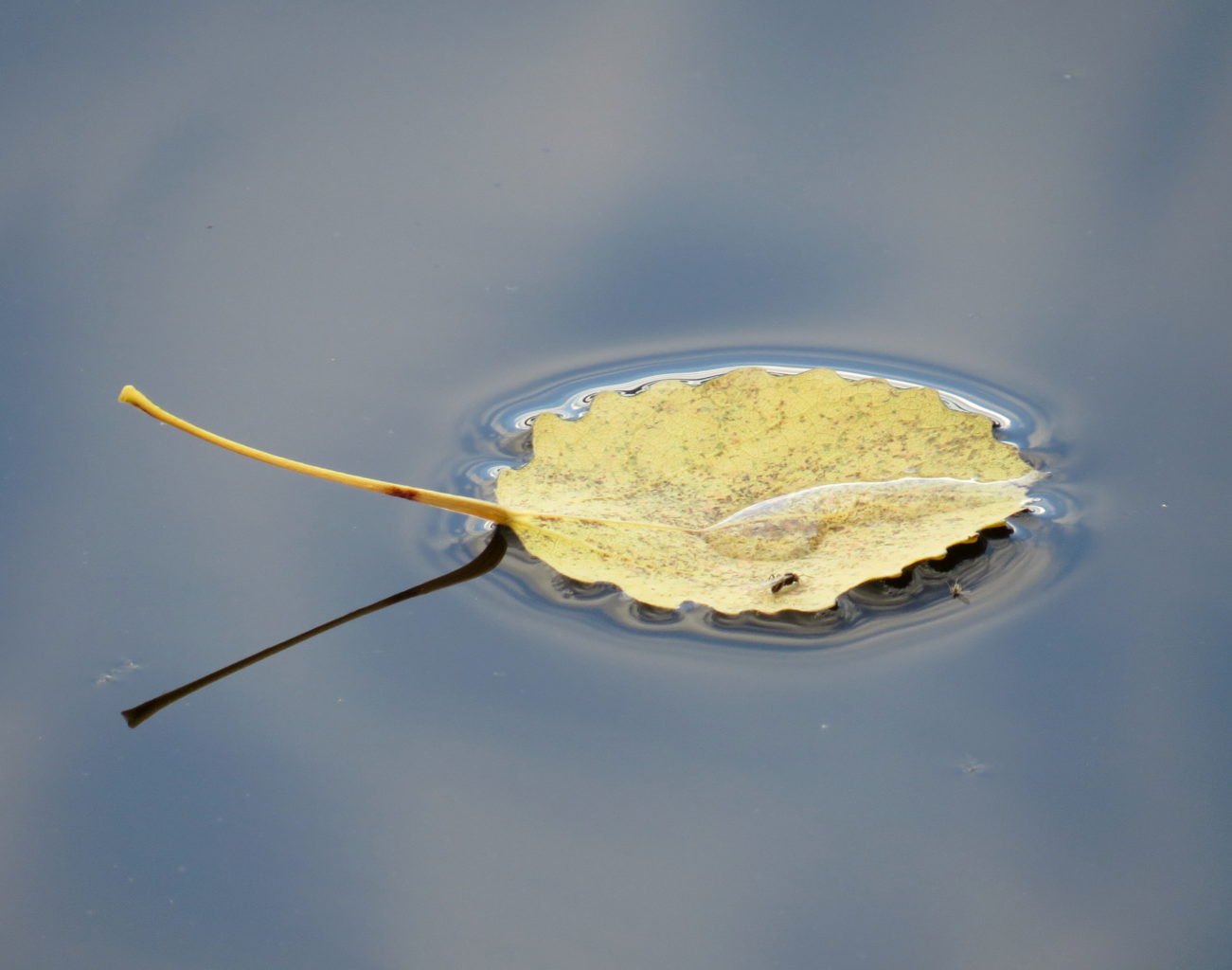 Valokuvaaja: Jaana Talvinen