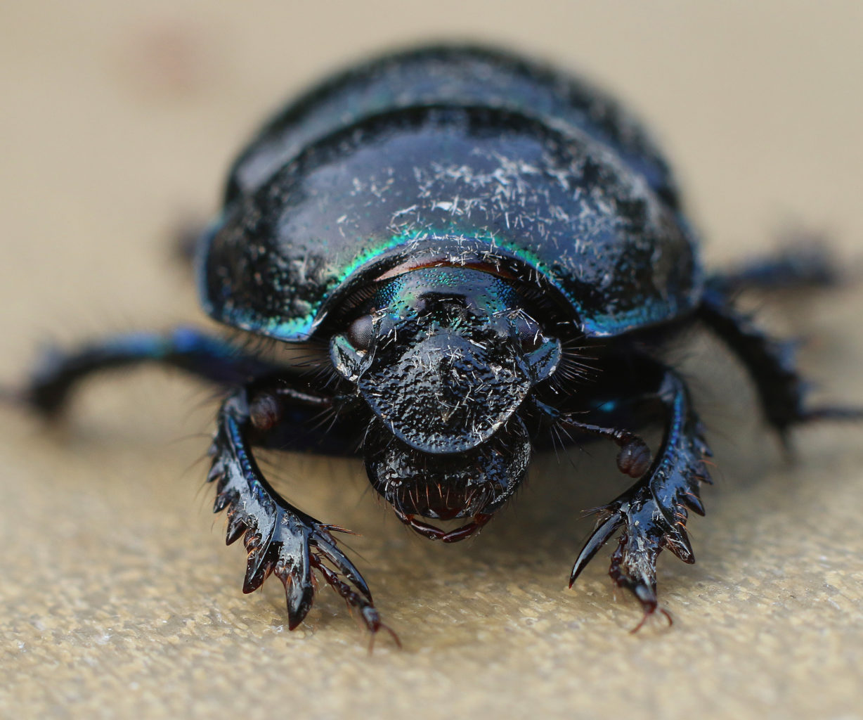 Valokuvaaja: Tarja Porkkala