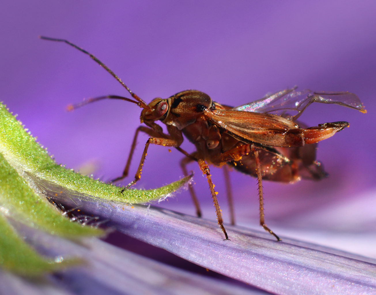 Valokuvaaja: Tarja Porkkala