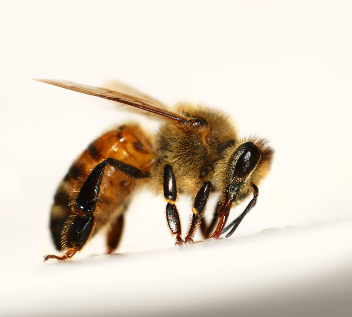 Valokuvaaja: Tarja Porkkala