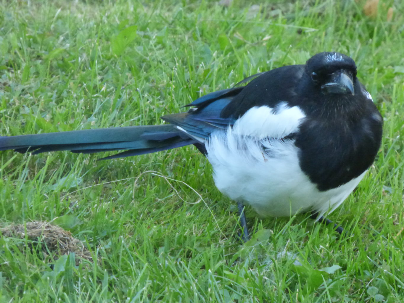 Valokuvaaja: Hannu Rissanen