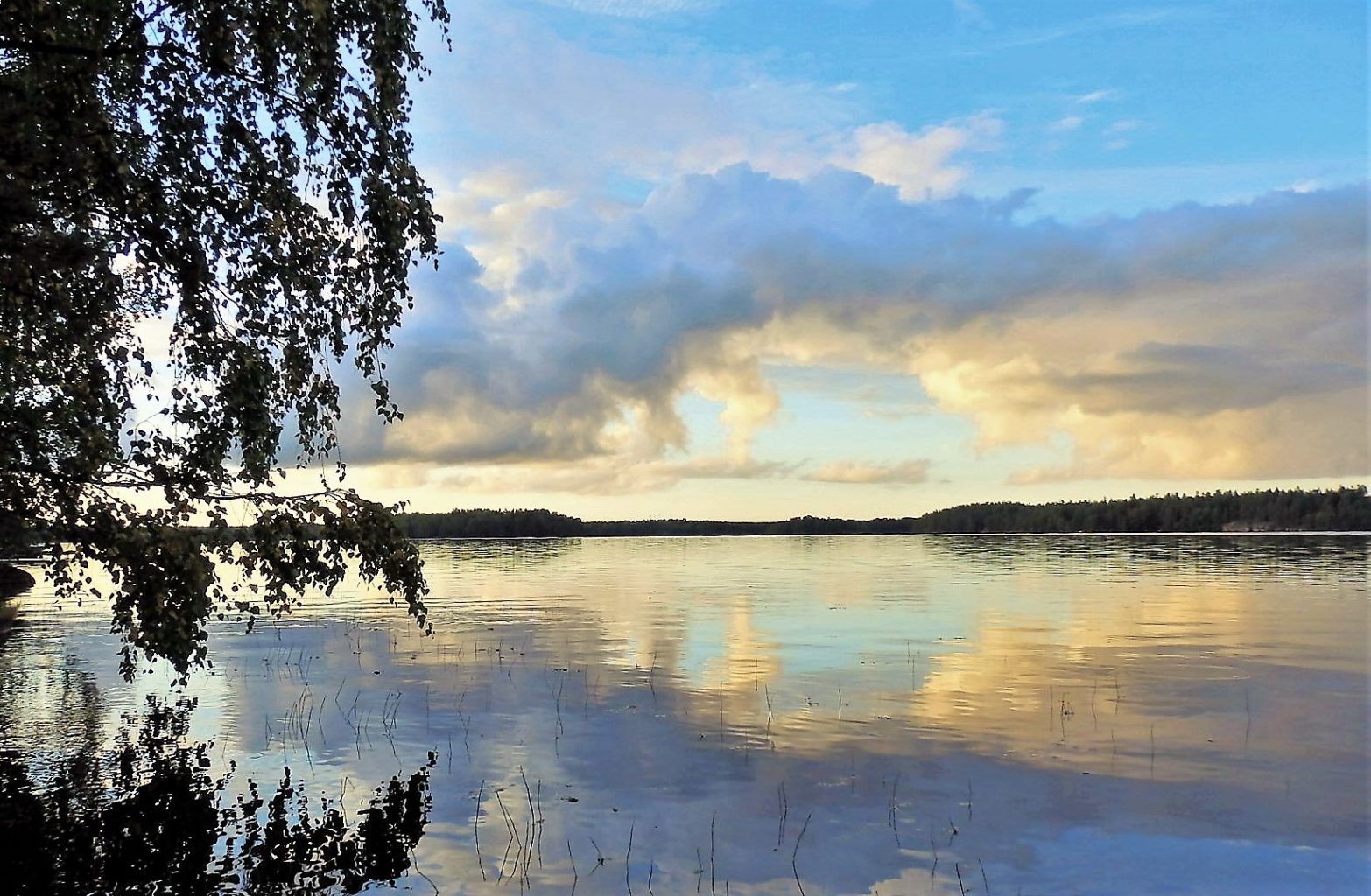 Valokuvaaja: Marja-Liisa Paavola