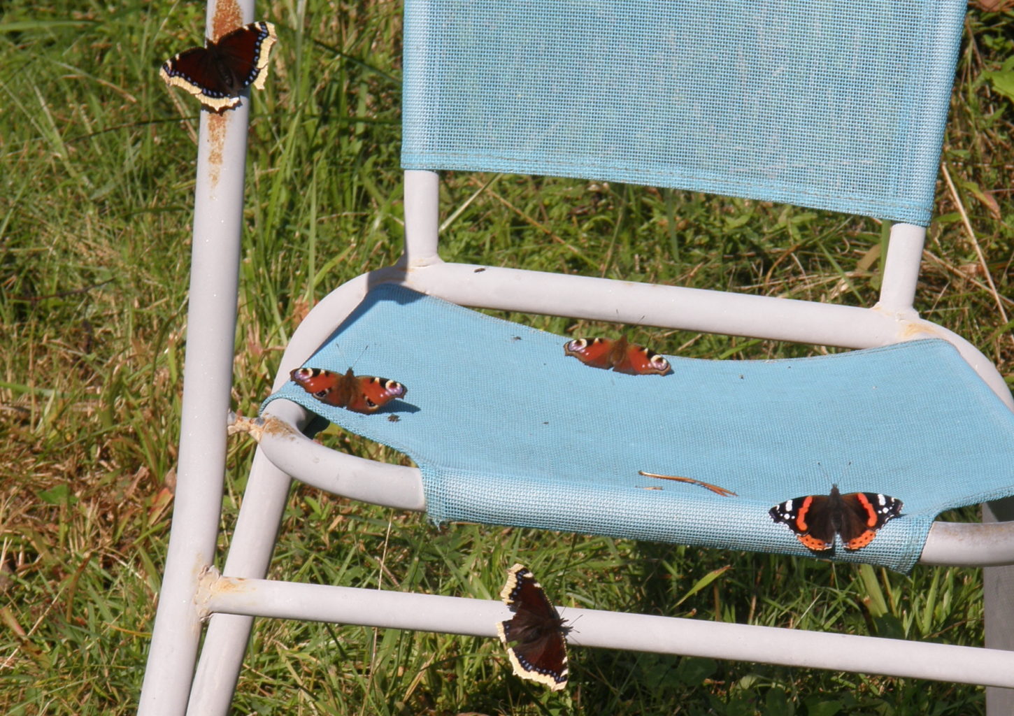 Valokuvaaja: Seppo Asp