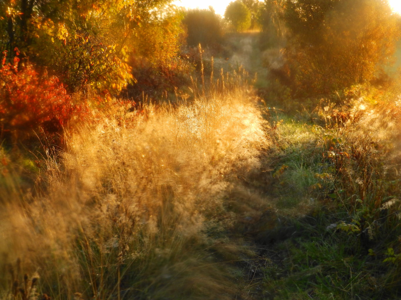 Valokuvaaja: Tanja Eskonniemi