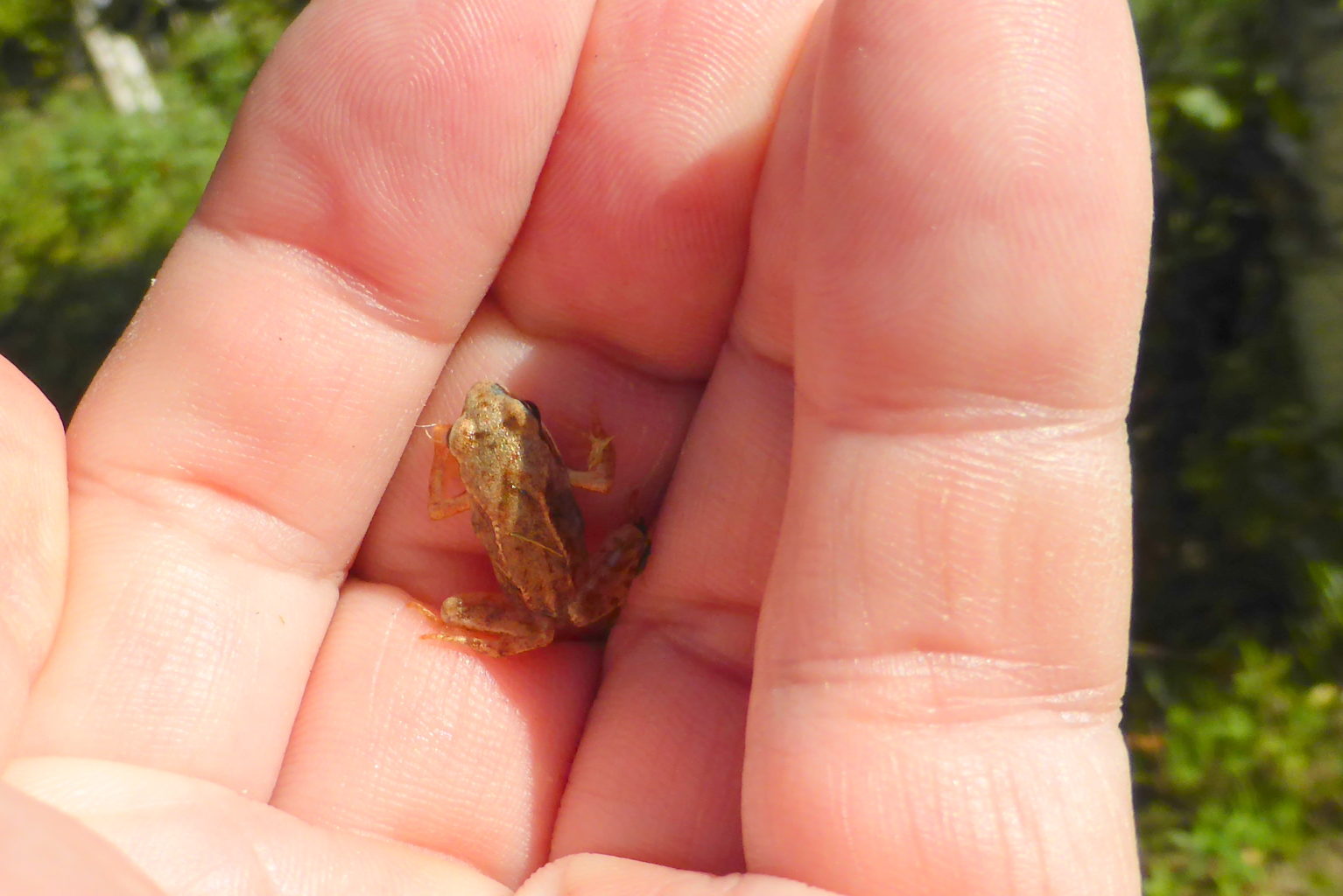 Valokuvaaja: Kalle Asikainen Valokuvaaja: Kalle Asikainen