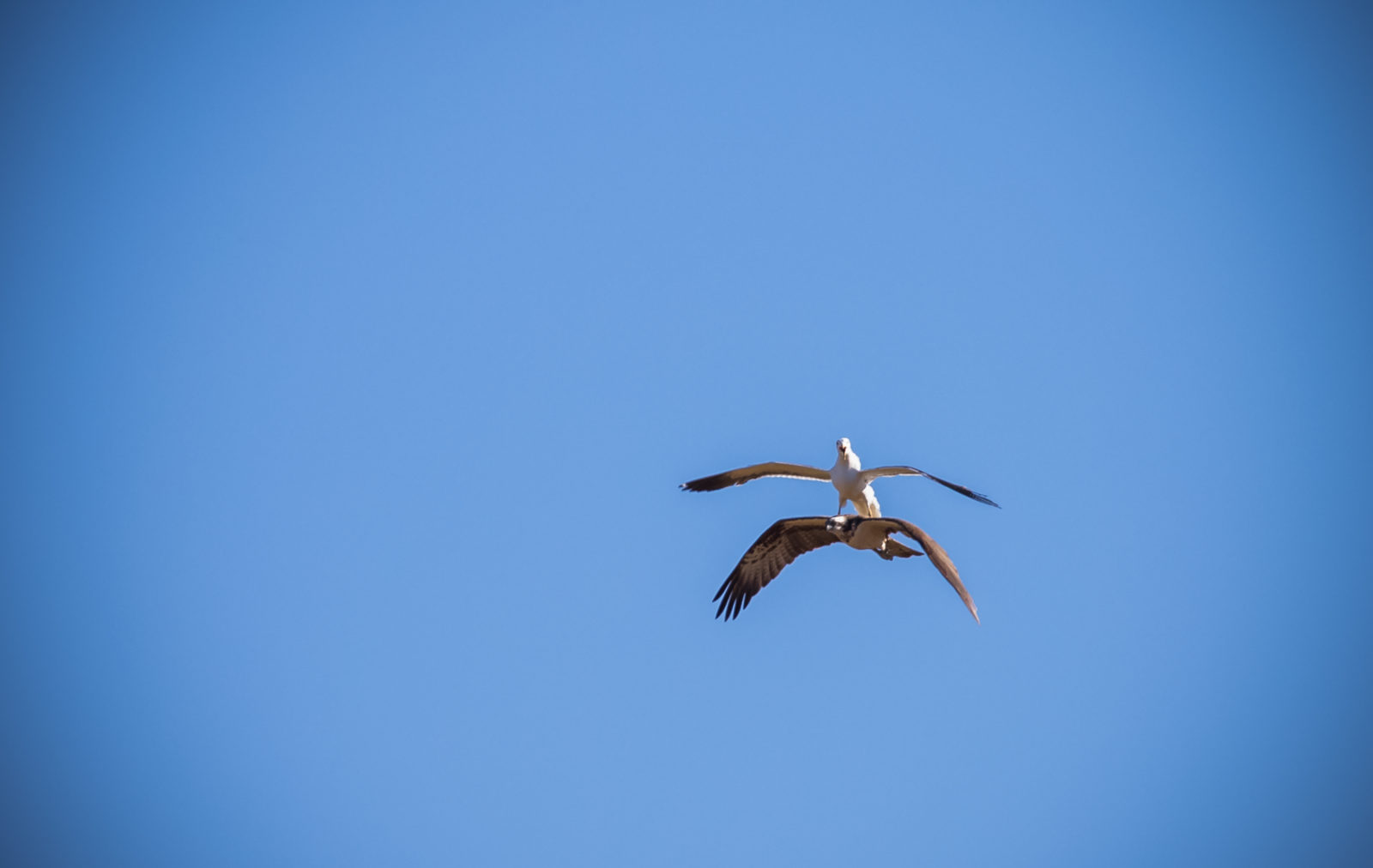 Valokuvaaja: Heikki Kainulainen