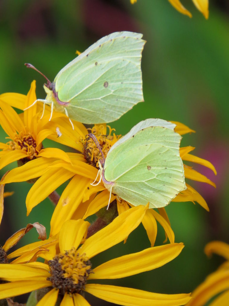 Valokuvaaja: Jaana Talvinen