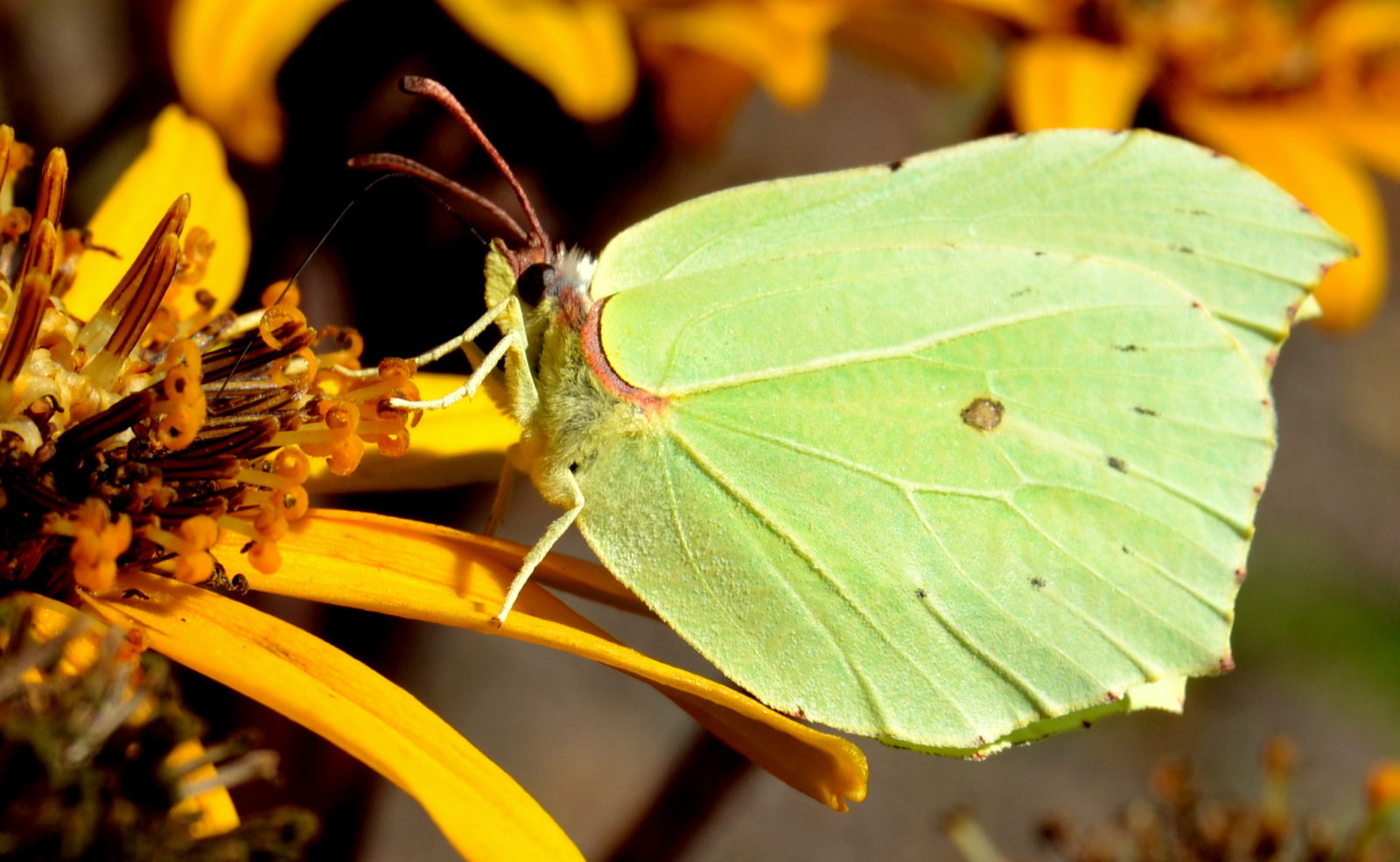 Valokuvaaja: Mervi Kaasalainen