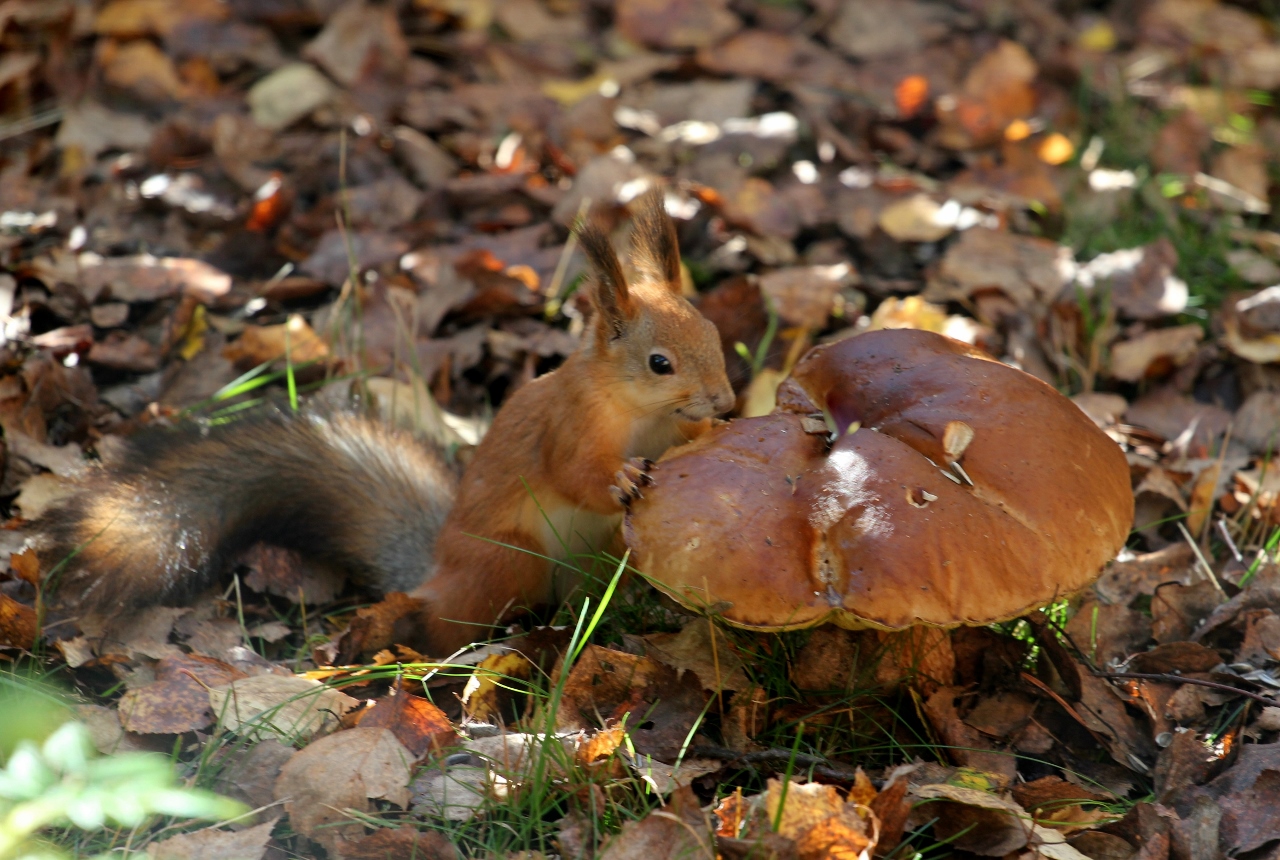 Valokuvaaja: Juha Pitkänen