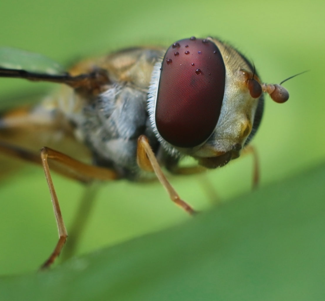 Valokuvaaja: Tarja Porkkala