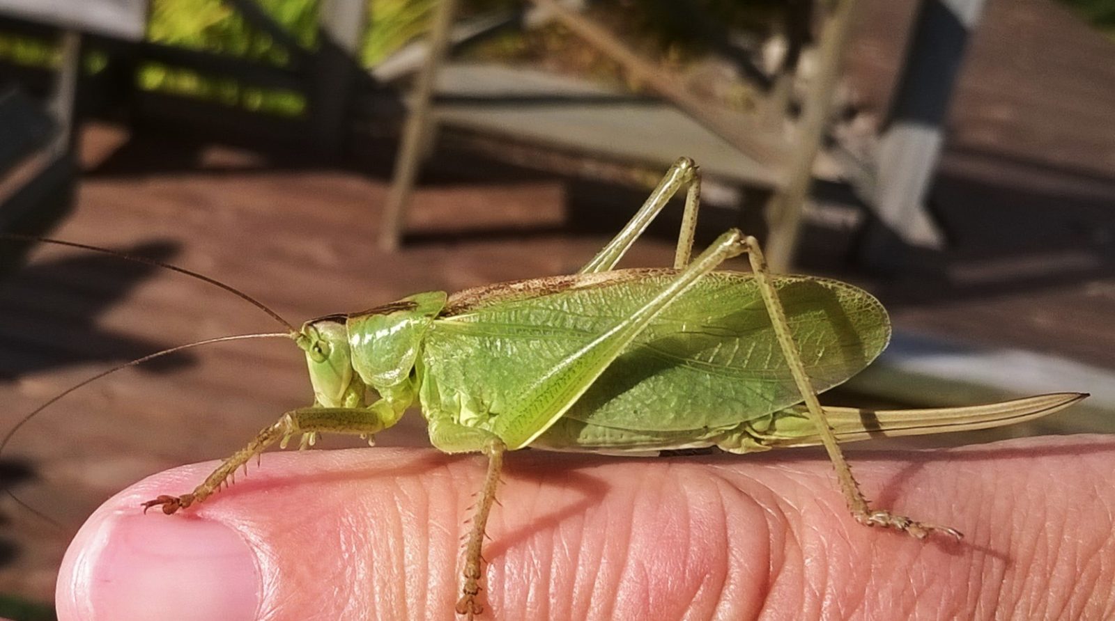 Valokuvaaja: Arja Kinnunen