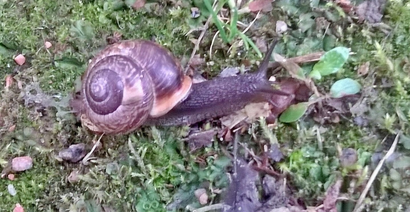 Valokuvaaja: Aira Karvonen