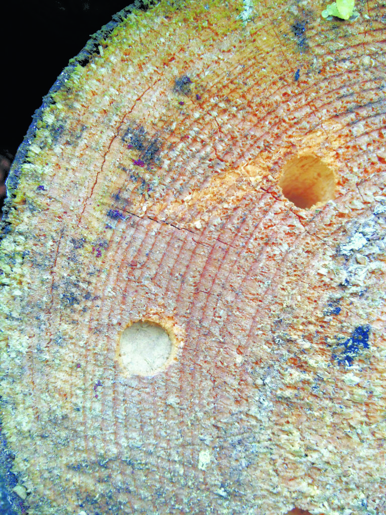 Valokuvaaja: Eine Kakkonen Valokuvaaja: Eine Kakkonen