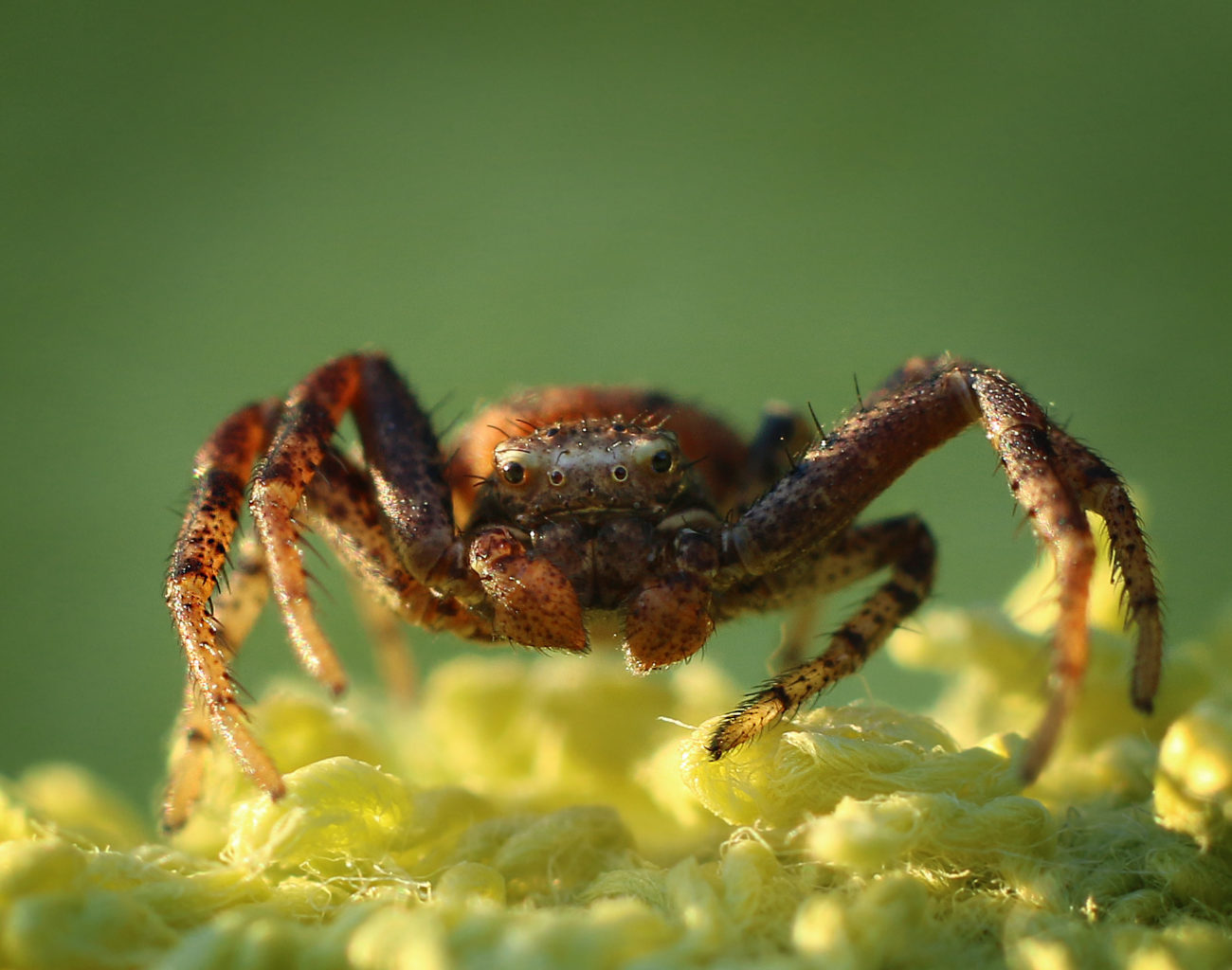 Valokuvaaja: Tarja Porkkala