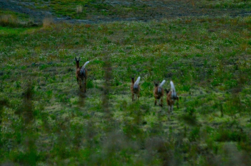 Valokuvaaja: Jenni Merilä