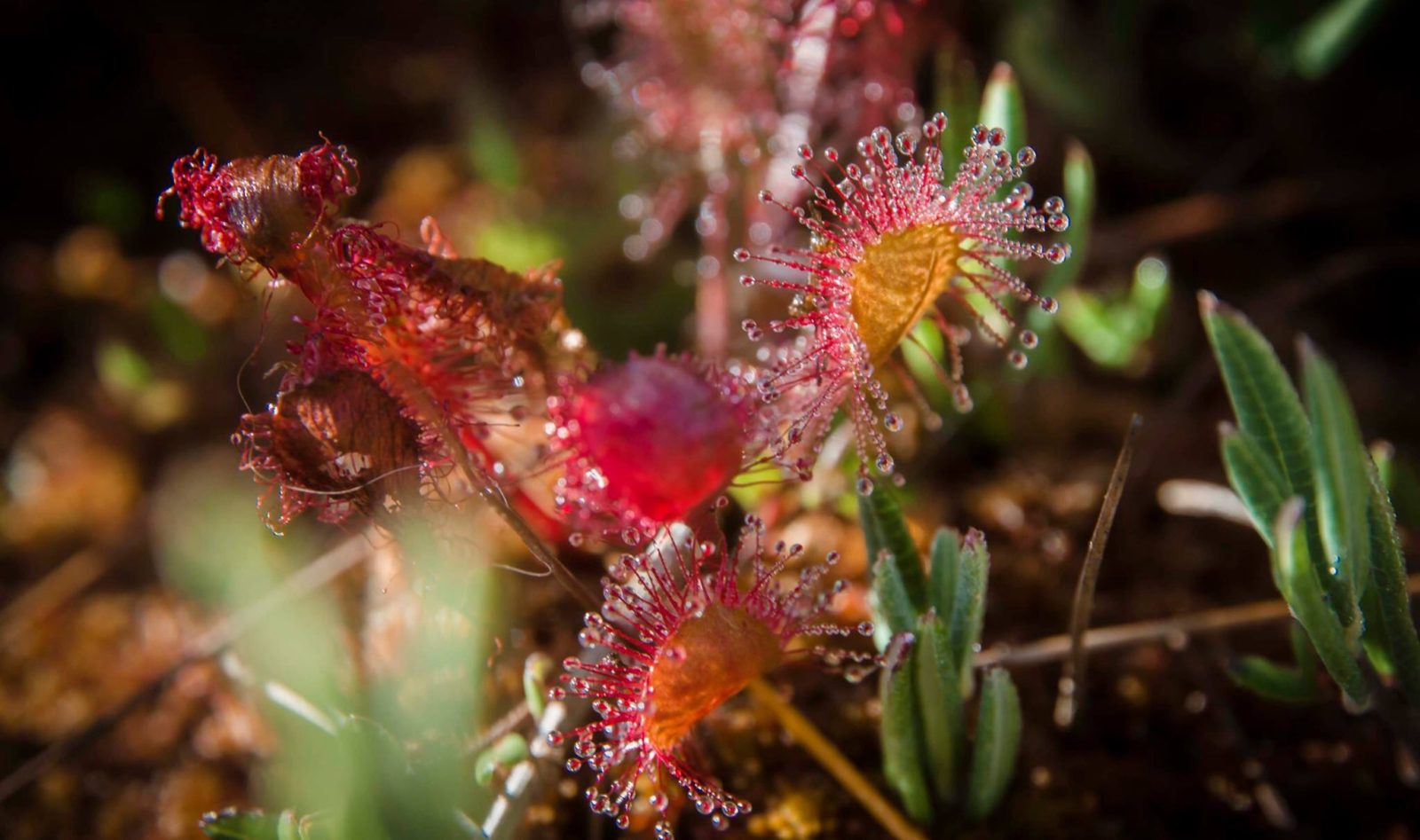 Valokuvaaja: Mika Wallasvaara Valokuvaaja: Mika Wallasvaara