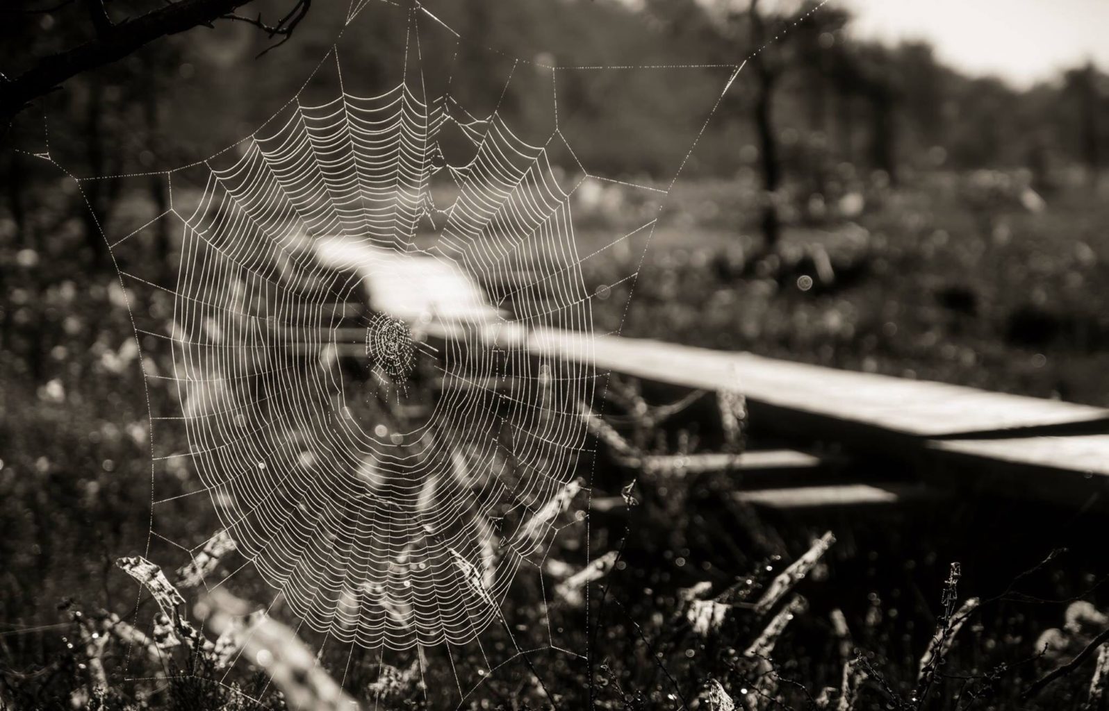 Valokuvaaja: Mika Wallasvaara