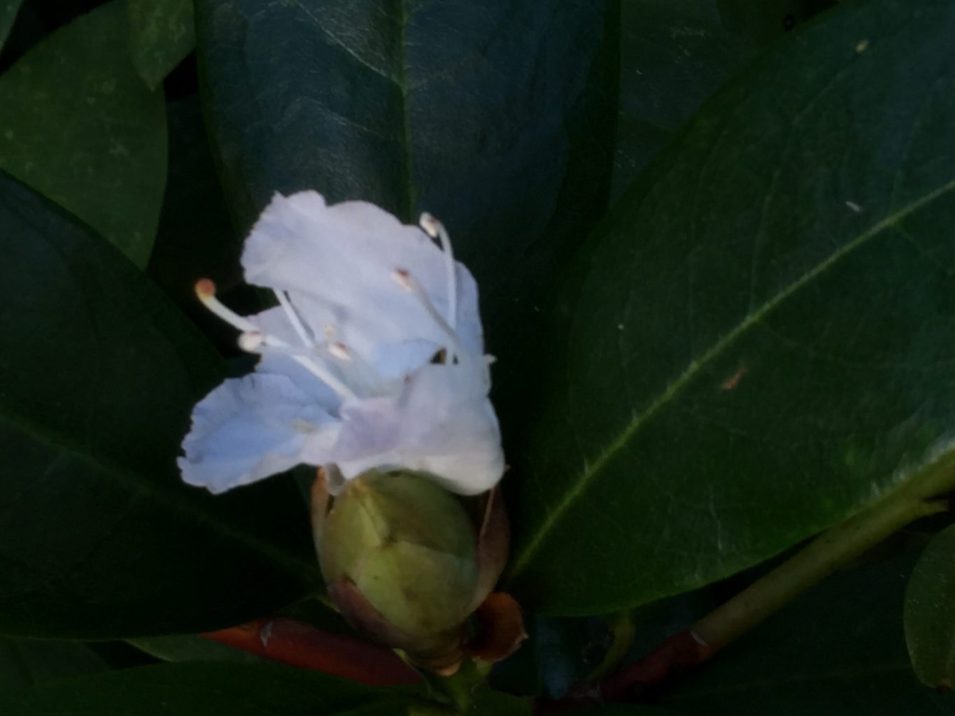 Valokuvaaja: Marjukka Myllärniemi