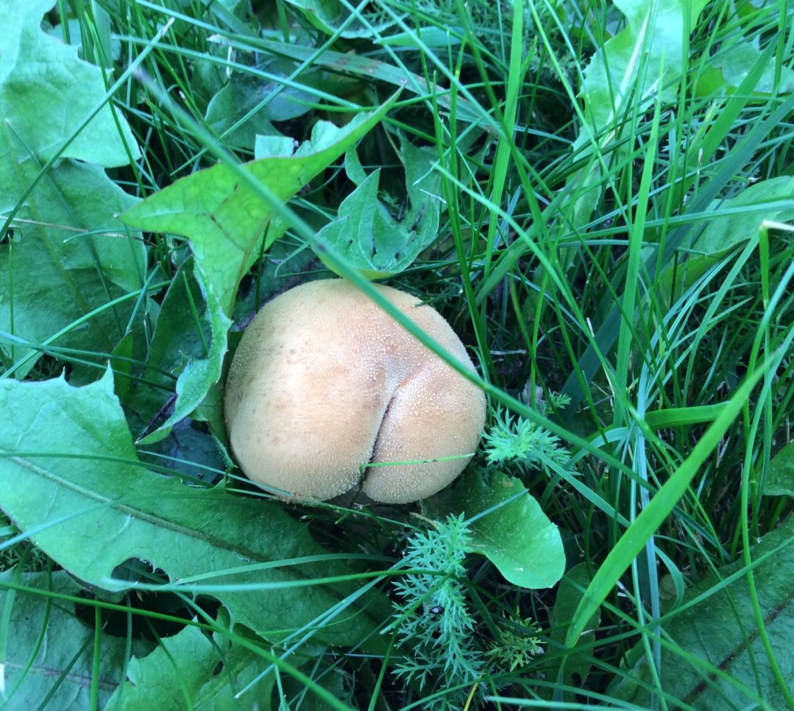 Valokuvaaja: Johanna Olli Valokuvaaja: Johanna Olli