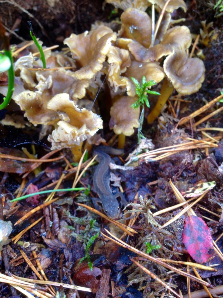 Valokuvaaja: Jenni Merilä