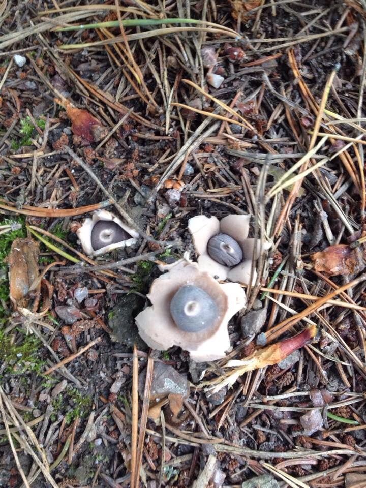 Valokuvaaja: Päivi Pirra