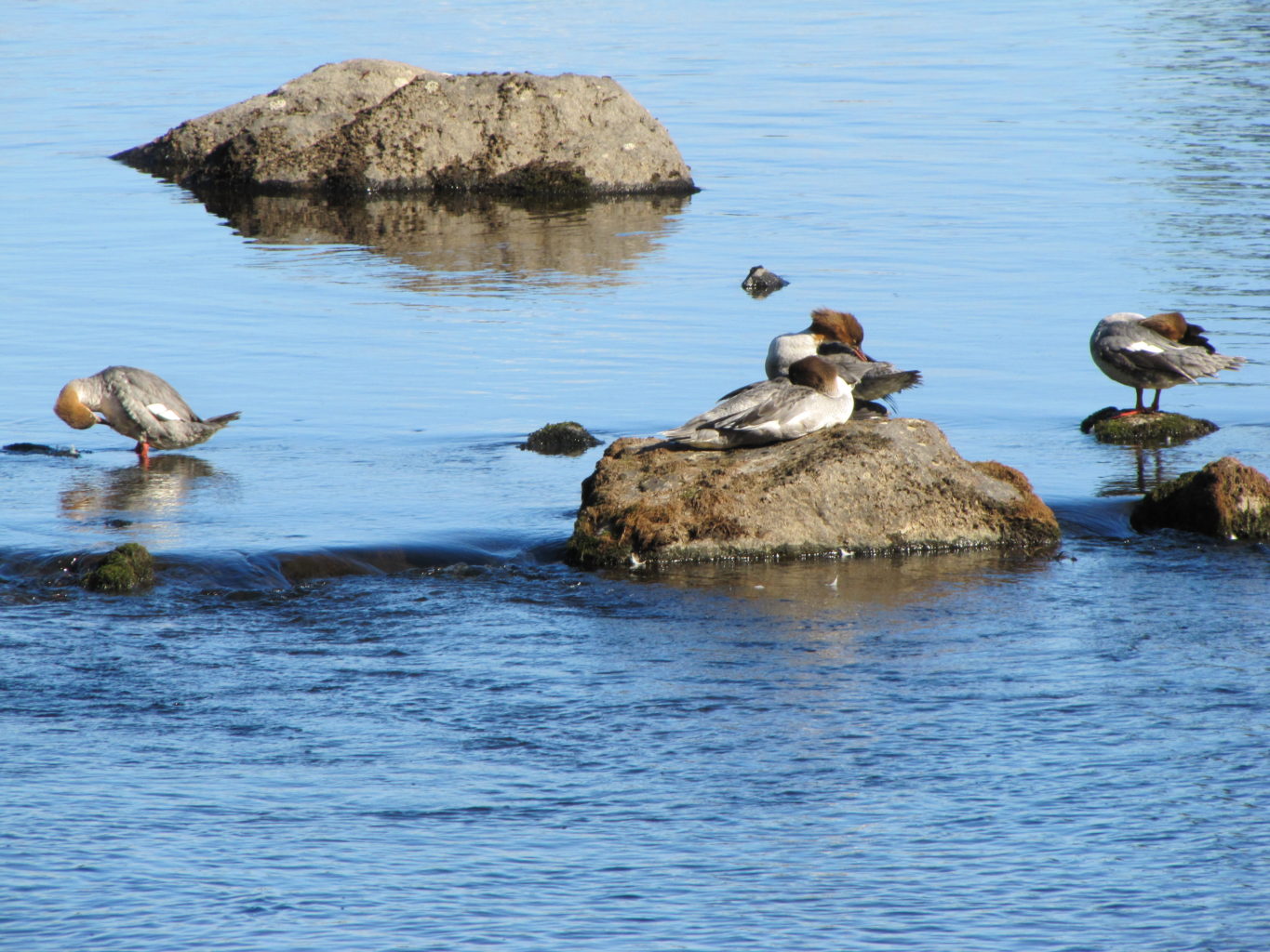 Valokuvaaja: Vesa Koponen