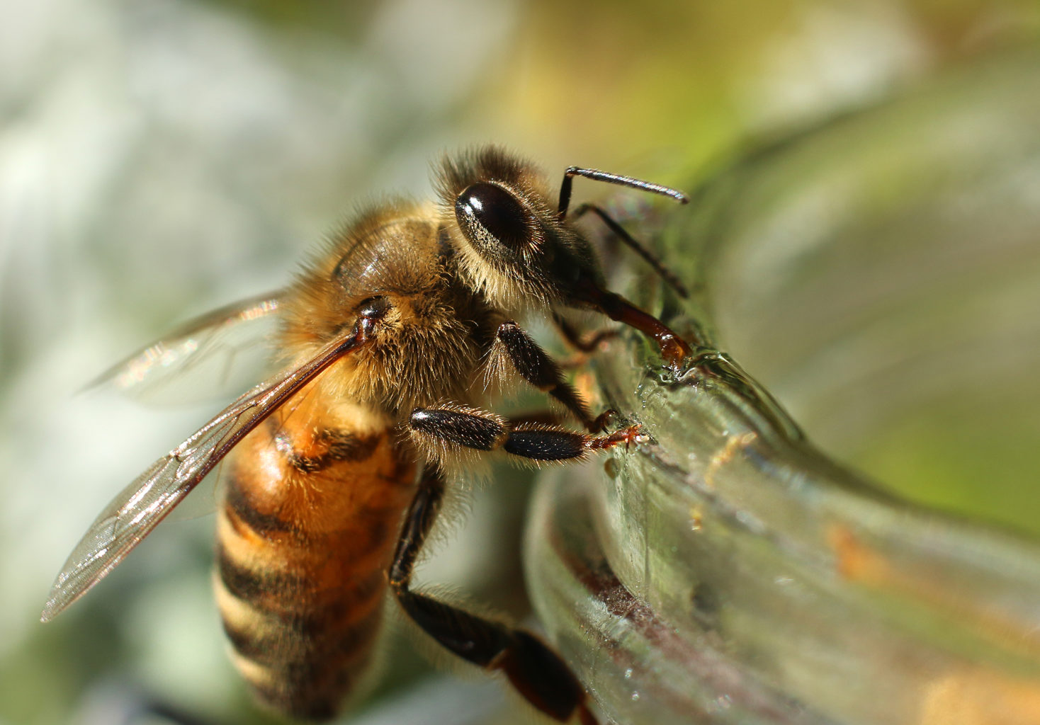 Valokuvaaja: Tarja Porkkala